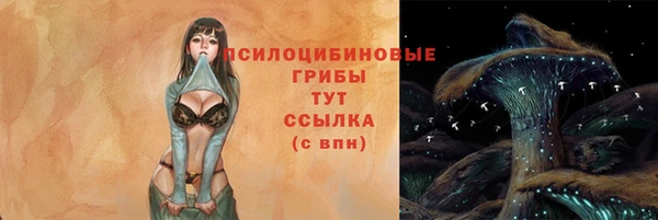 соль курить ск Алзамай