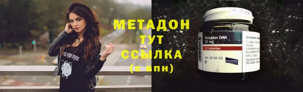 индика Новозыбков
