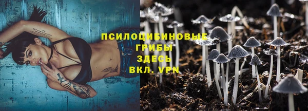 apvp Алексин