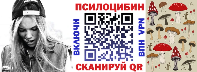 что такое   Ишим  mega зеркало  Галлюциногенные грибы Cubensis 